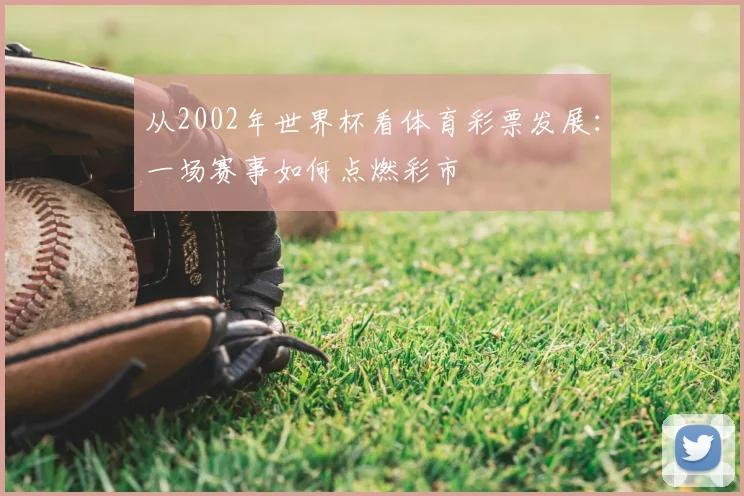 从2002年世界杯看体育彩票发展：一场赛事如何点燃彩市