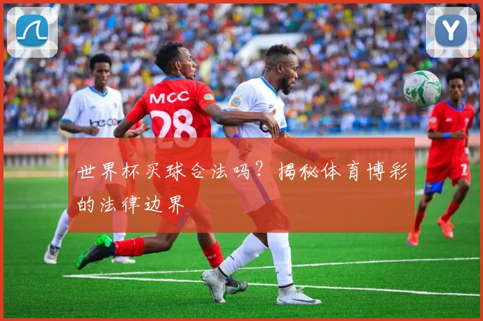 世界杯买球合法吗?揭秘体育博彩的法律边界