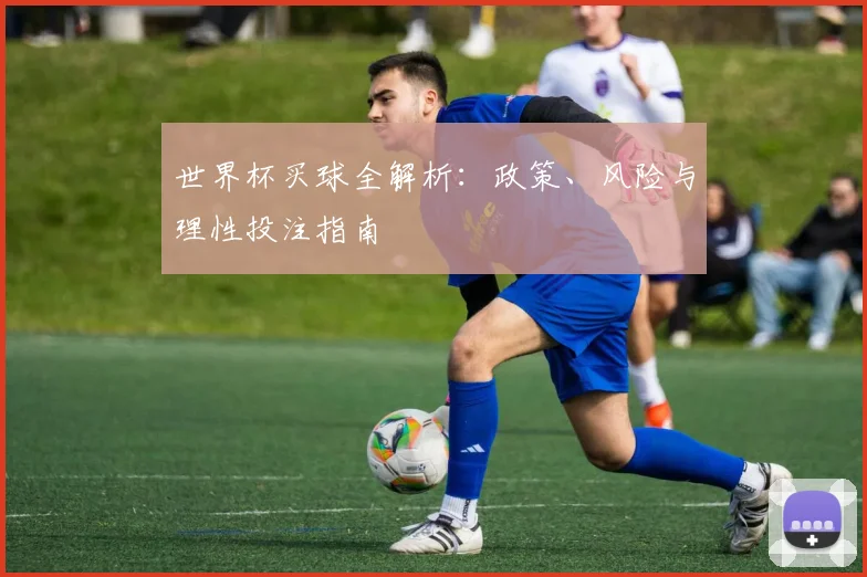 世界杯买球全解析:政策、风险与理性投注指南