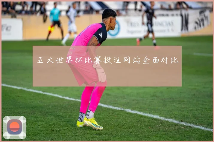五大世界杯比赛投注网站全面对比