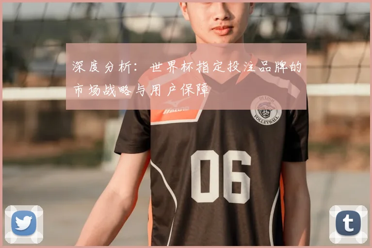 深度分析：世界杯指定投注品牌的市场战略与用户保障
