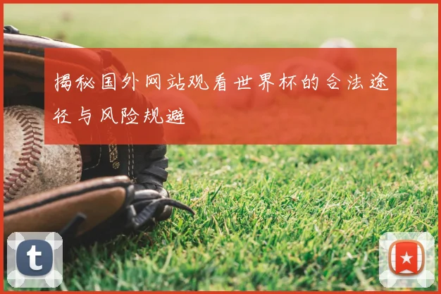 揭秘国外网站观看世界杯的合法途径与风险规避