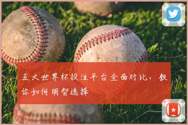 五大世界杯投注平台全面对比,教你如何明智选择